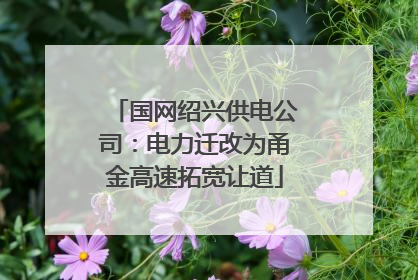 国网绍兴供电公司：电力迁改为甬金高速拓宽让道