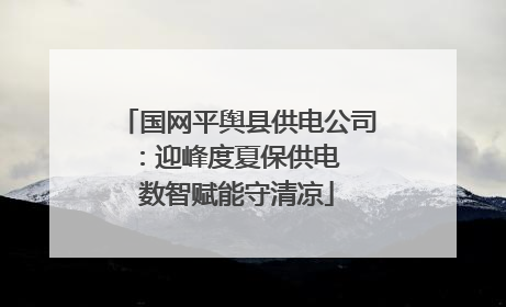 国网平舆县供电公司：迎峰度夏保供电  数智赋能守清凉