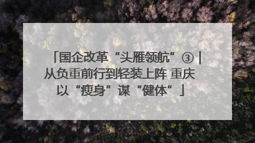 国企改革“头雁领航”③｜从负重前行到轻装上阵 重庆以“瘦身”谋“健体”