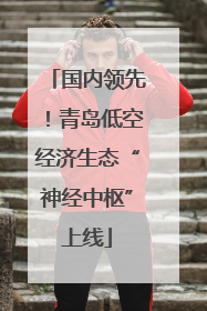 国内领先！青岛低空经济生态“神经中枢”上线