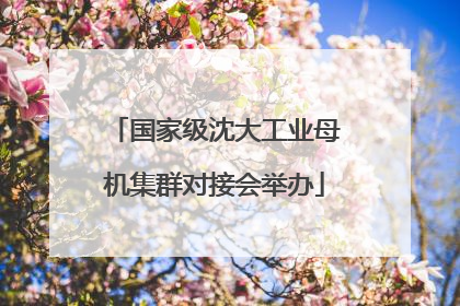国家级沈大工业母机集群对接会举办