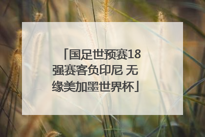 国足世预赛18强赛客负印尼 无缘美加墨世界杯