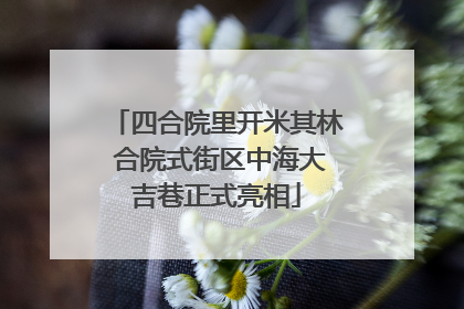 四合院里开米其林 合院式街区中海大吉巷正式亮相