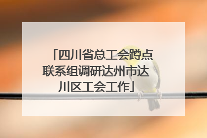 四川省总工会蹲点联系组调研达州市达川区工会工作