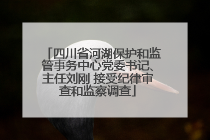 四川省河湖保护和监管事务中心党委书记、主任刘刚 接受纪律审查和监察调查