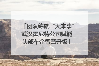 团队练就“大本事” 武汉霍尼特公司赋能头部车企智慧升级