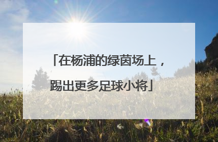 在杨浦的绿茵场上，踢出更多足球小将