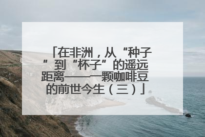 在非洲，从“种子”到“杯子”的遥远距离——一颗咖啡豆的前世今生（三）