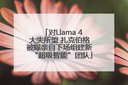 对Llama 4大失所望 扎克伯格被曝亲自下场组建新“超级智能”团队