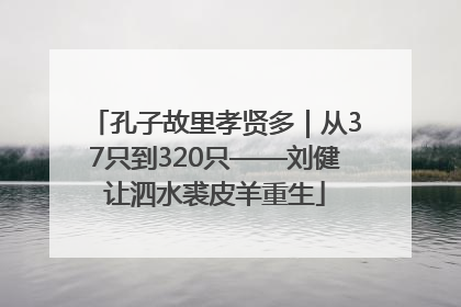 孔子故里孝贤多｜从37只到320只——刘健让泗水裘皮羊重生