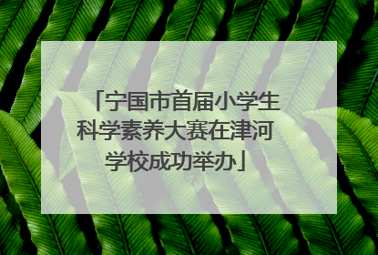 宁国市首届小学生科学素养大赛在津河学校成功举办