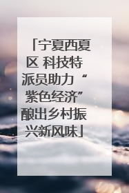 宁夏西夏区 科技特派员助力“紫色经济”酿出乡村振兴新风味