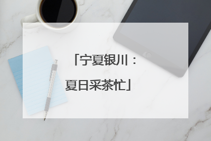 宁夏银川：夏日采茶忙