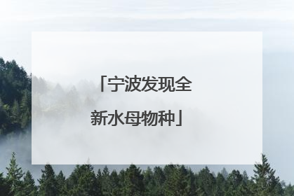 宁波发现全新水母物种