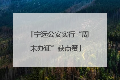 宁远公安实行“周末办证”获点赞