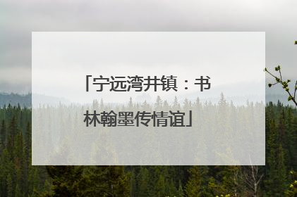 宁远湾井镇：书林翰墨传情谊