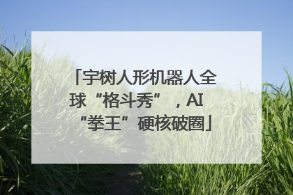 宇树人形机器人全球“格斗秀”，AI“拳王”硬核破圈