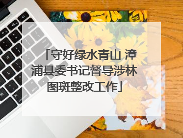 守好绿水青山 漳浦县委书记督导涉林图斑整改工作