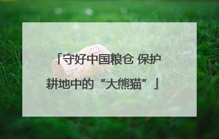 守好中国粮仓 保护耕地中的“大熊猫”