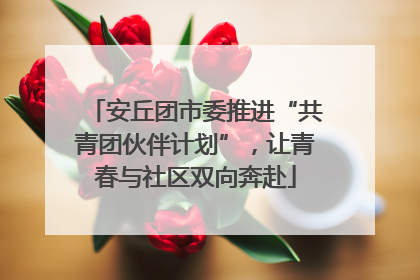 安丘团市委推进“共青团伙伴计划”，让青春与社区双向奔赴