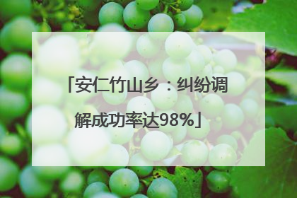 安仁竹山乡：纠纷调解成功率达98%