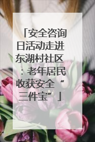 安全咨询日活动走进东湖村社区：老年居民收获安全“三件宝”