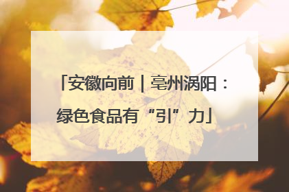 安徽向前｜亳州涡阳：绿色食品有“引”力
