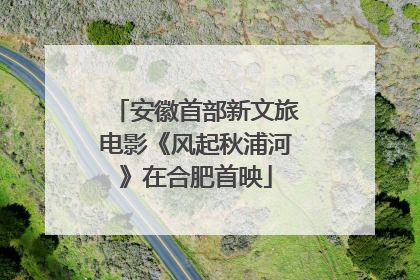 安徽首部新文旅电影《风起秋浦河》在合肥首映