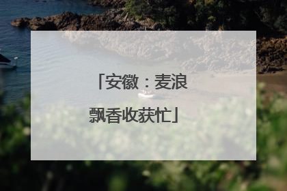 安徽：麦浪飘香收获忙