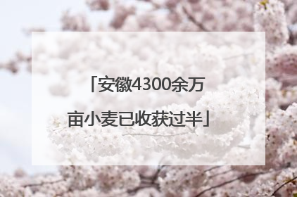安徽4300余万亩小麦已收获过半