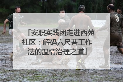 安职实践团走进西苑社区：解码六尺巷工作法的温情治理之道