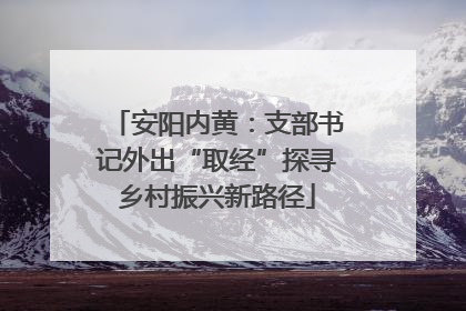 安阳内黄：支部书记外出“取经”探寻乡村振兴新路径