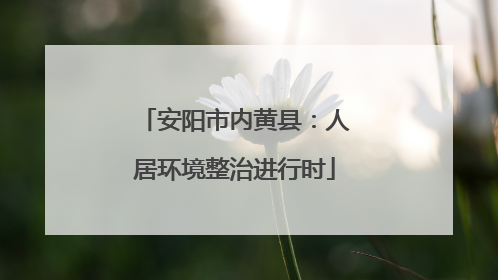 安阳市内黄县：人居环境整治进行时