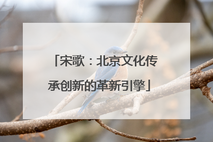 宋歌：北京文化传承创新的革新引擎