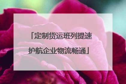 定制货运班列提速 护航企业物流畅通