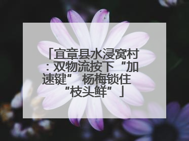 宜章县水浸窝村：双物流按下“加速键” 杨梅锁住“枝头鲜”