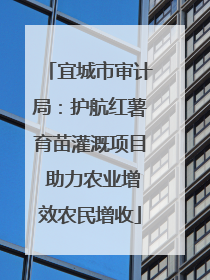 宜城市审计局：护航红薯育苗灌溉项目 助力农业增效农民增收
