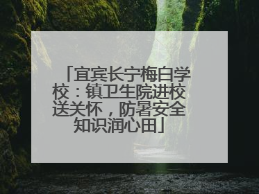 宜宾长宁梅白学校：镇卫生院进校送关怀，防暑安全知识润心田