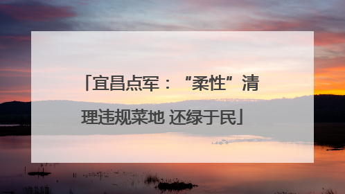 宜昌点军：“柔性”清理违规菜地 还绿于民