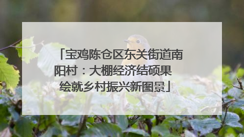 宝鸡陈仓区东关街道南阳村：大棚经济结硕果 绘就乡村振兴新图景