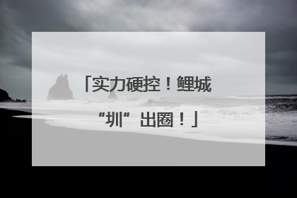 实力硬控！鲤城“圳”出圈！