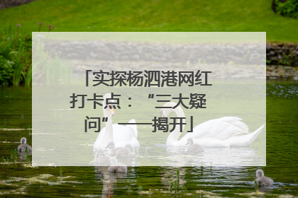 实探杨泗港网红打卡点：“三大疑问”一一揭开