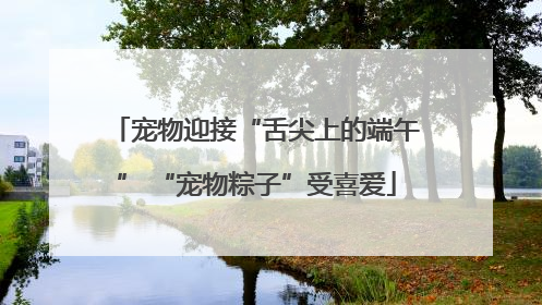 宠物迎接“舌尖上的端午” “宠物粽子”受喜爱