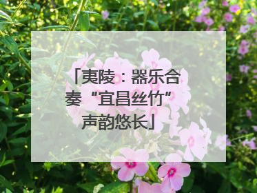 夷陵：器乐合奏“宜昌丝竹”声韵悠长