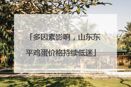 多因素影响，山东东平鸡蛋价格持续低迷