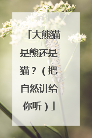 大熊猫是熊还是猫？（把自然讲给你听）