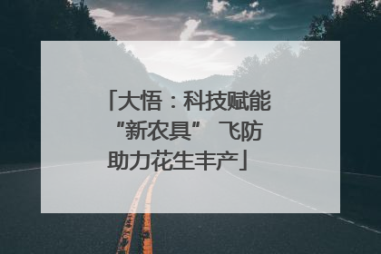 大悟：科技赋能“新农具” 飞防助力花生丰产