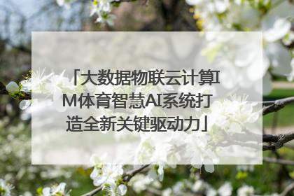 大数据物联云计算IM体育智慧AI系统打造全新关键驱动力