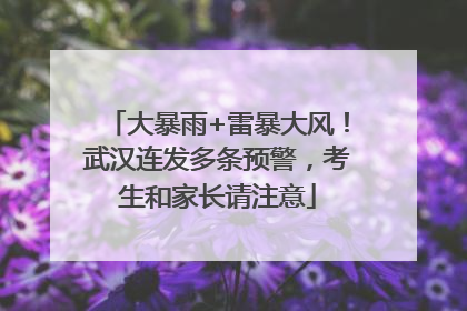 大暴雨+雷暴大风！武汉连发多条预警，考生和家长请注意