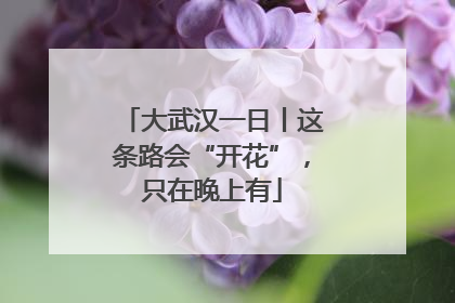 大武汉一日丨这条路会“开花”，只在晚上有
